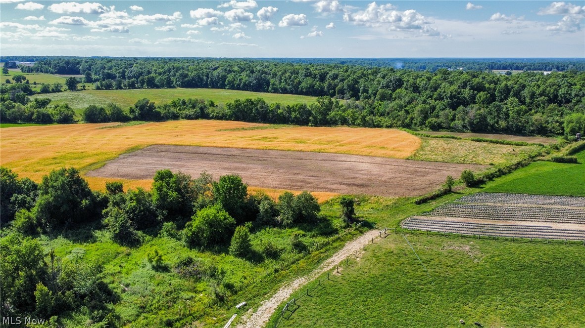 Holshoe Road Homerville, OH 44235 - Photo 22 of 28