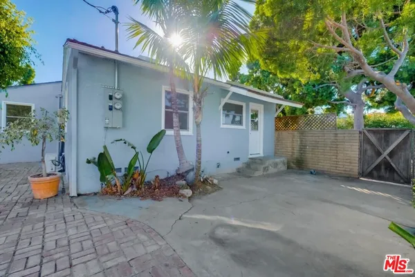 a backyard of a house with potted plants and a tree