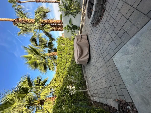 a picture of a flower in a garden