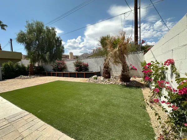 a view of a garden with flowers