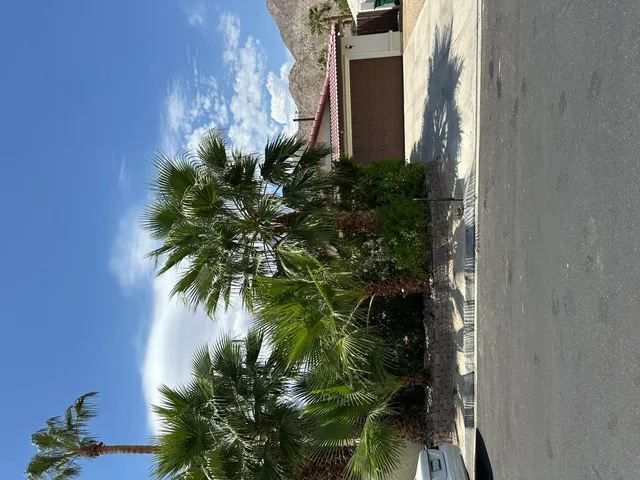 a plant that is in front of a door