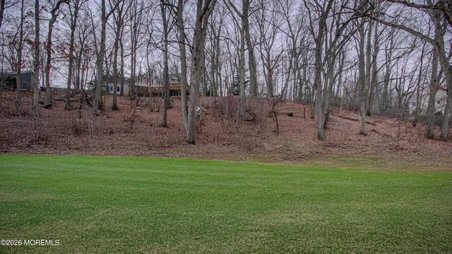 a view of yard with green space and trampoline