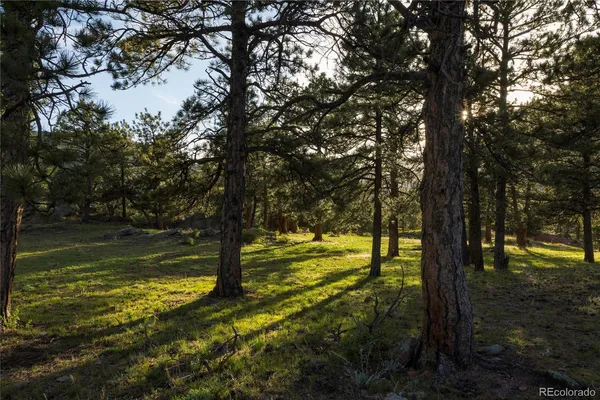 a view of a yard with an outdoor space