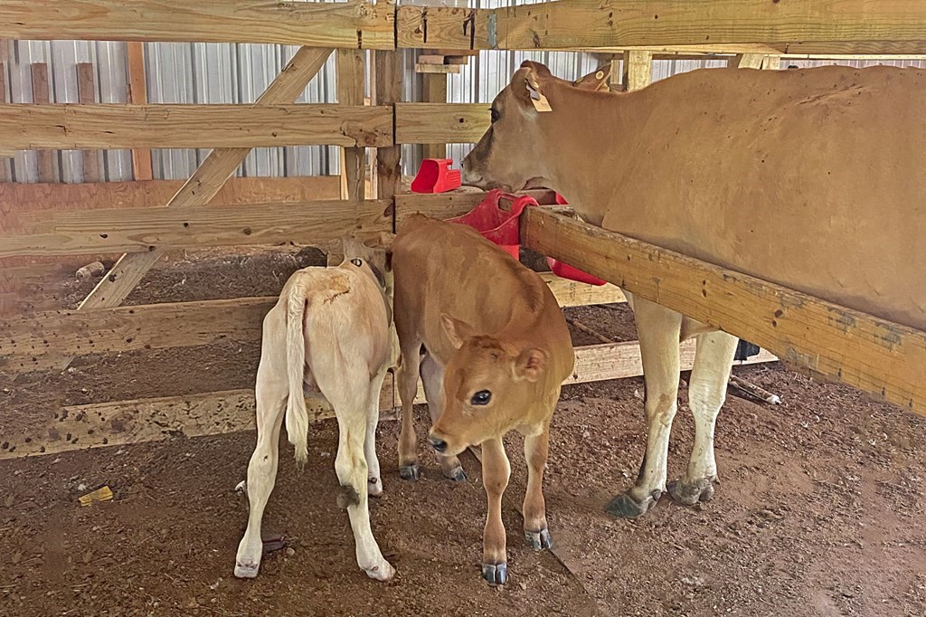 304 Hosea Forrest Road Huntington, TX 75949 - Photo 40 of 45