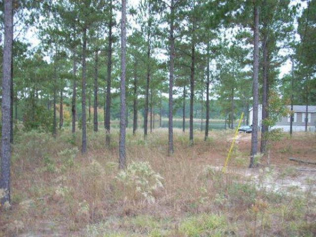 Lot 30 High Ridge Road Wray, GA 31798 - Photo 1 of 1