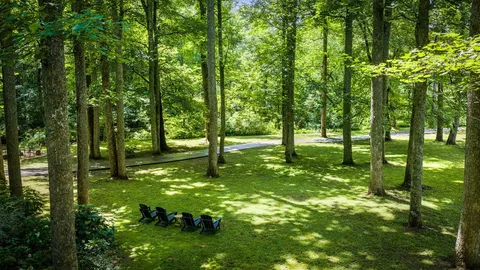 $874,900 | 2977 Highway 2, Blue Ridge, GA 30513