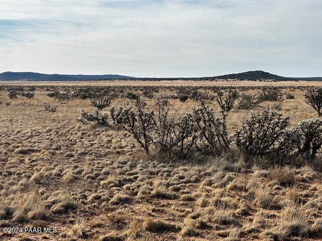 1270 D Along Way Seligman, AZ 86337 - Photo 3 of 8