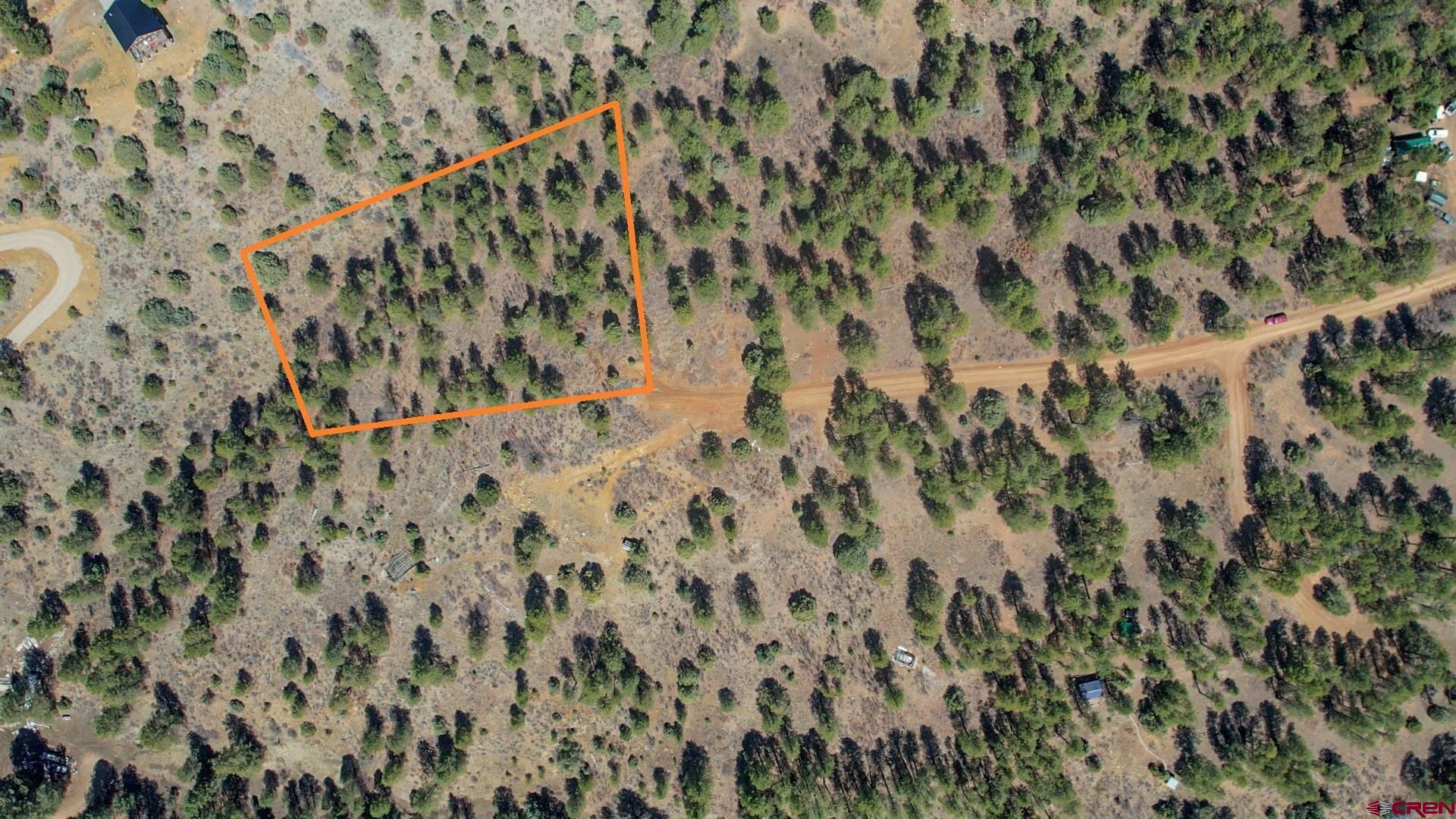 149 Engineer Point Pagosa Springs, CO 81147 - Photo 6 of 12 a close up of a plant