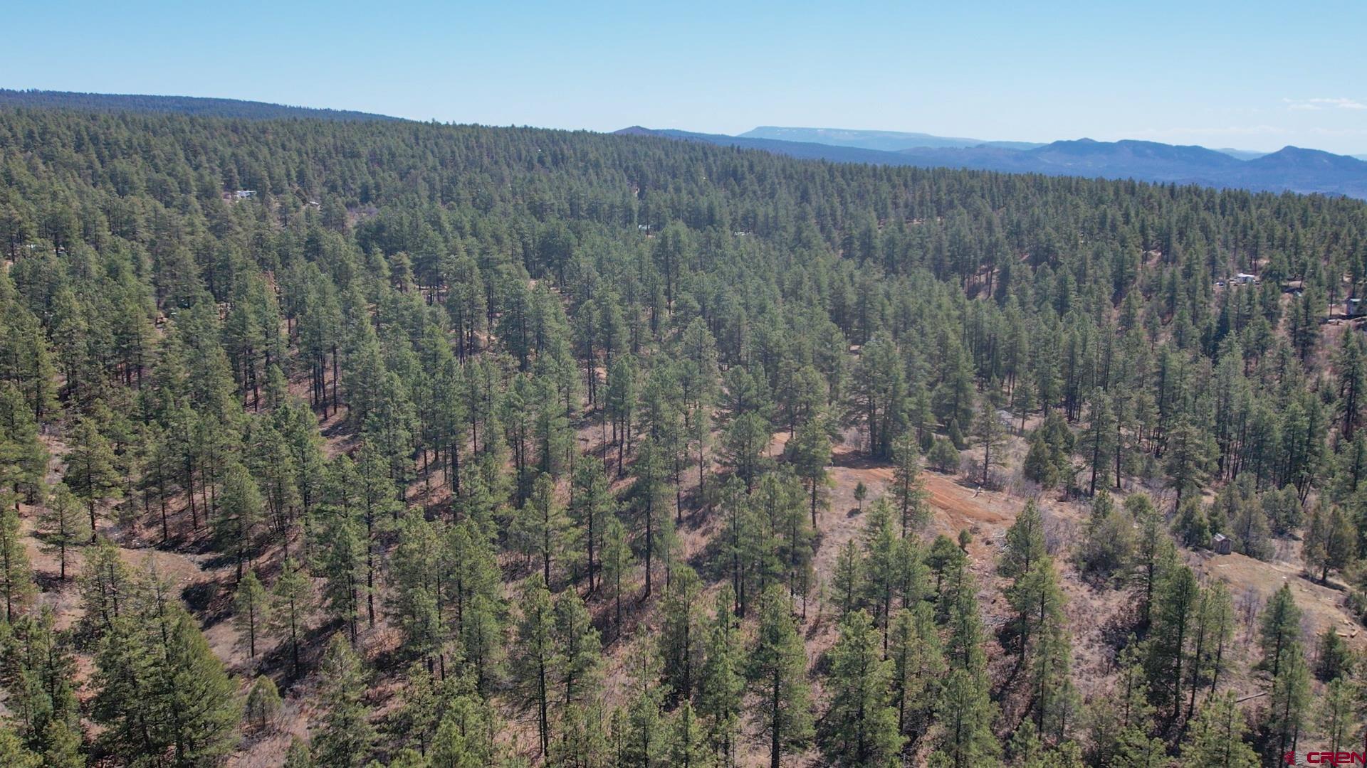 149 Engineer Point Pagosa Springs, CO 81147 - Photo 8 of 12 a view of a dry yard with mountains in the background