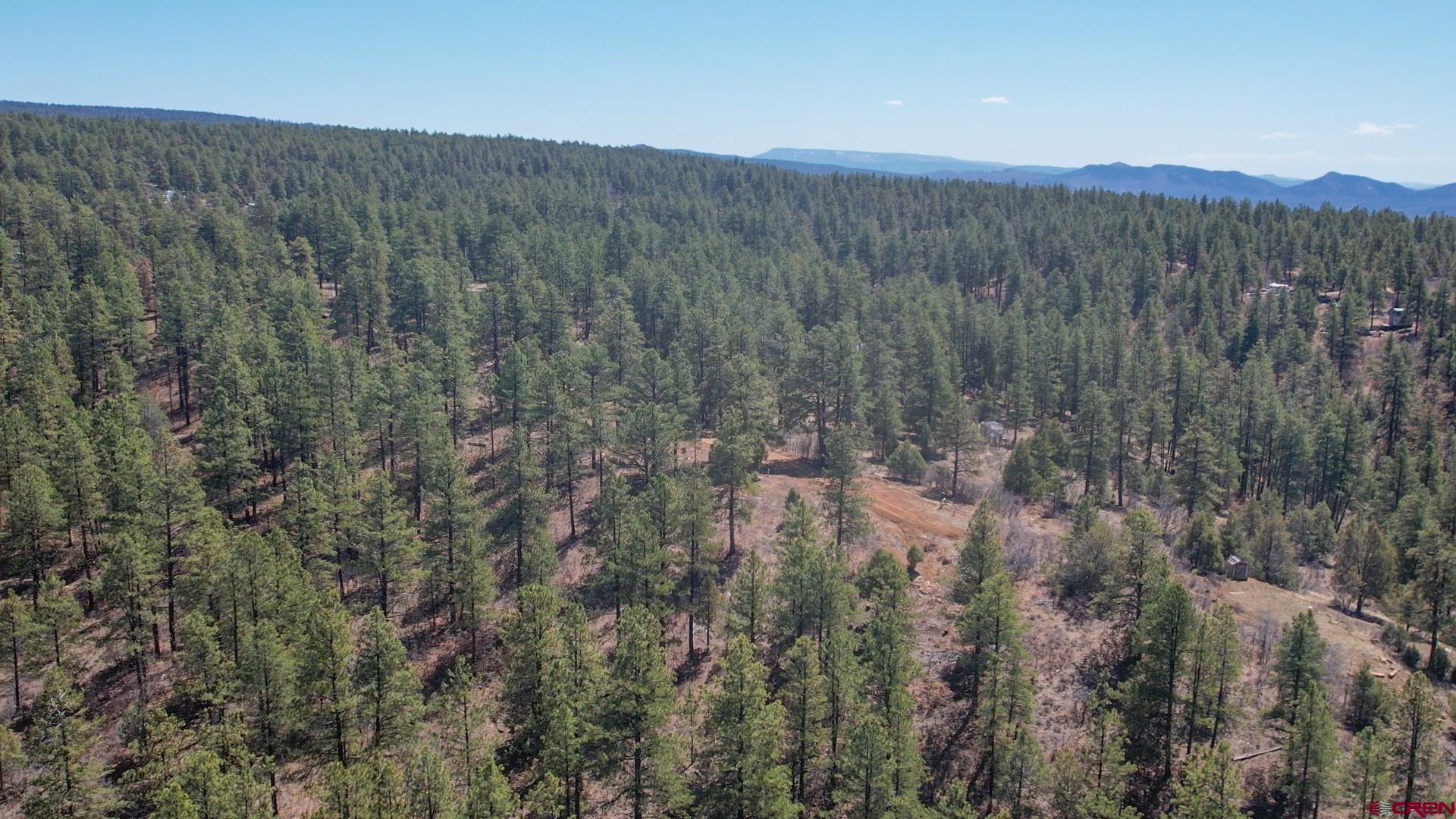 149 Engineer Point Pagosa Springs, CO 81147 - Photo 9 of 12 a view of a green field