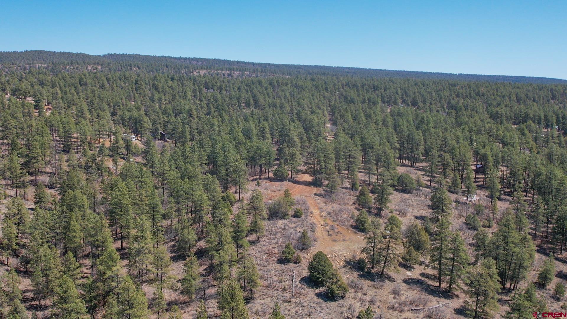149 Engineer Point Pagosa Springs, CO 81147 - Photo 10 of 12 a view of a forest with trees in the background