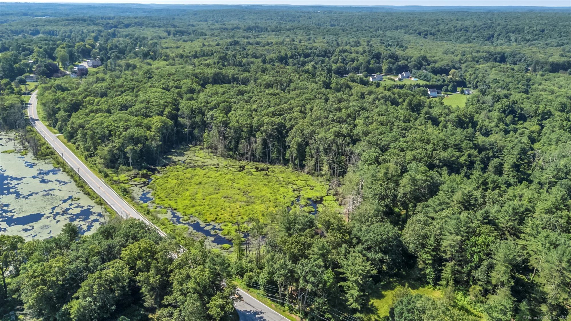 Trumbull Highway Lebanon, CT 06249 - Photo 15 of 21 a view of a forest with a street