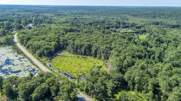 a view of a forest with a mountain