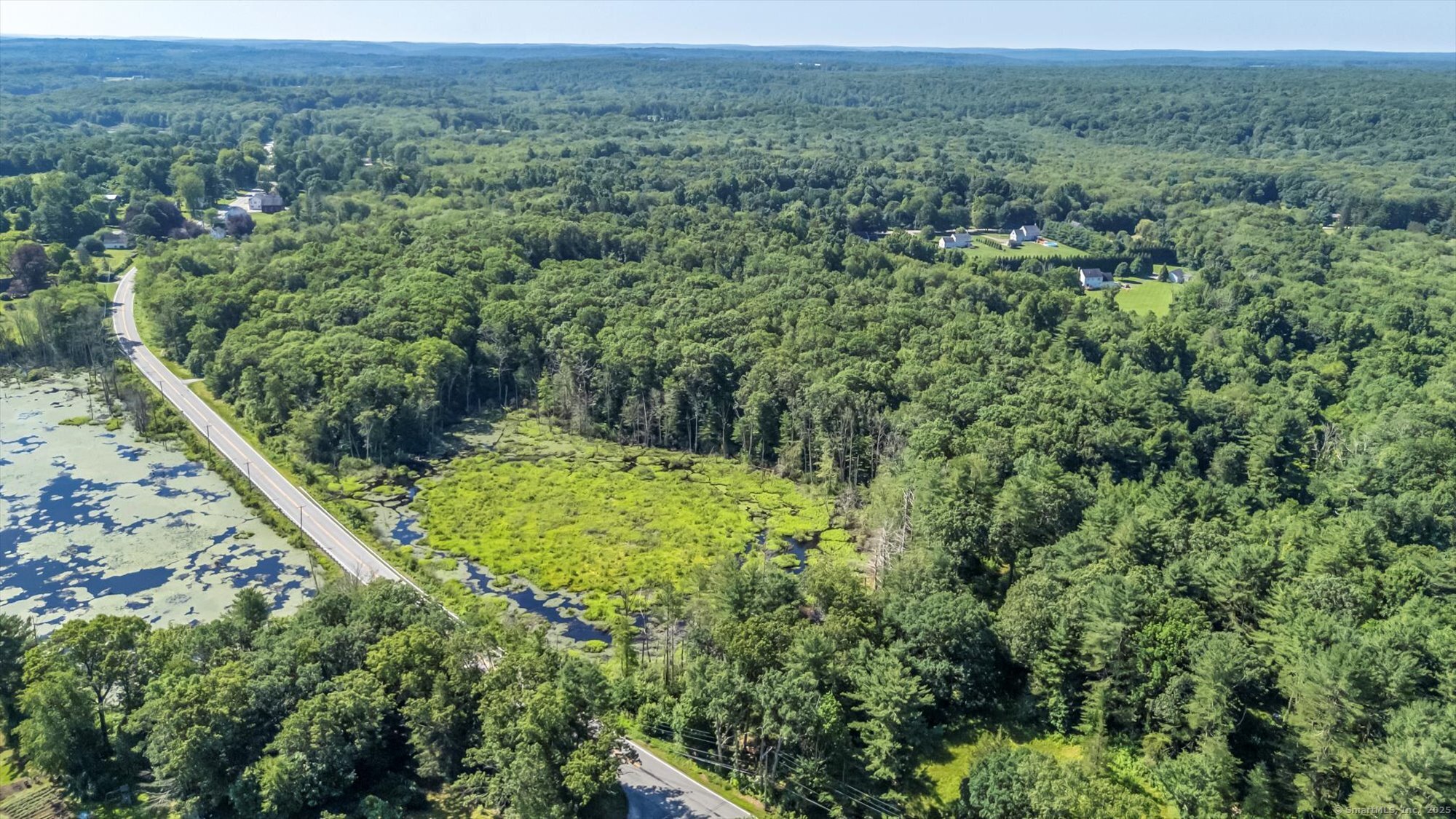 Trumbull Highway Lebanon, CT 06249 - Photo 16 of 21 a view of a forest with a mountain