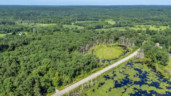 a view of a lush green forest with a lush green forest