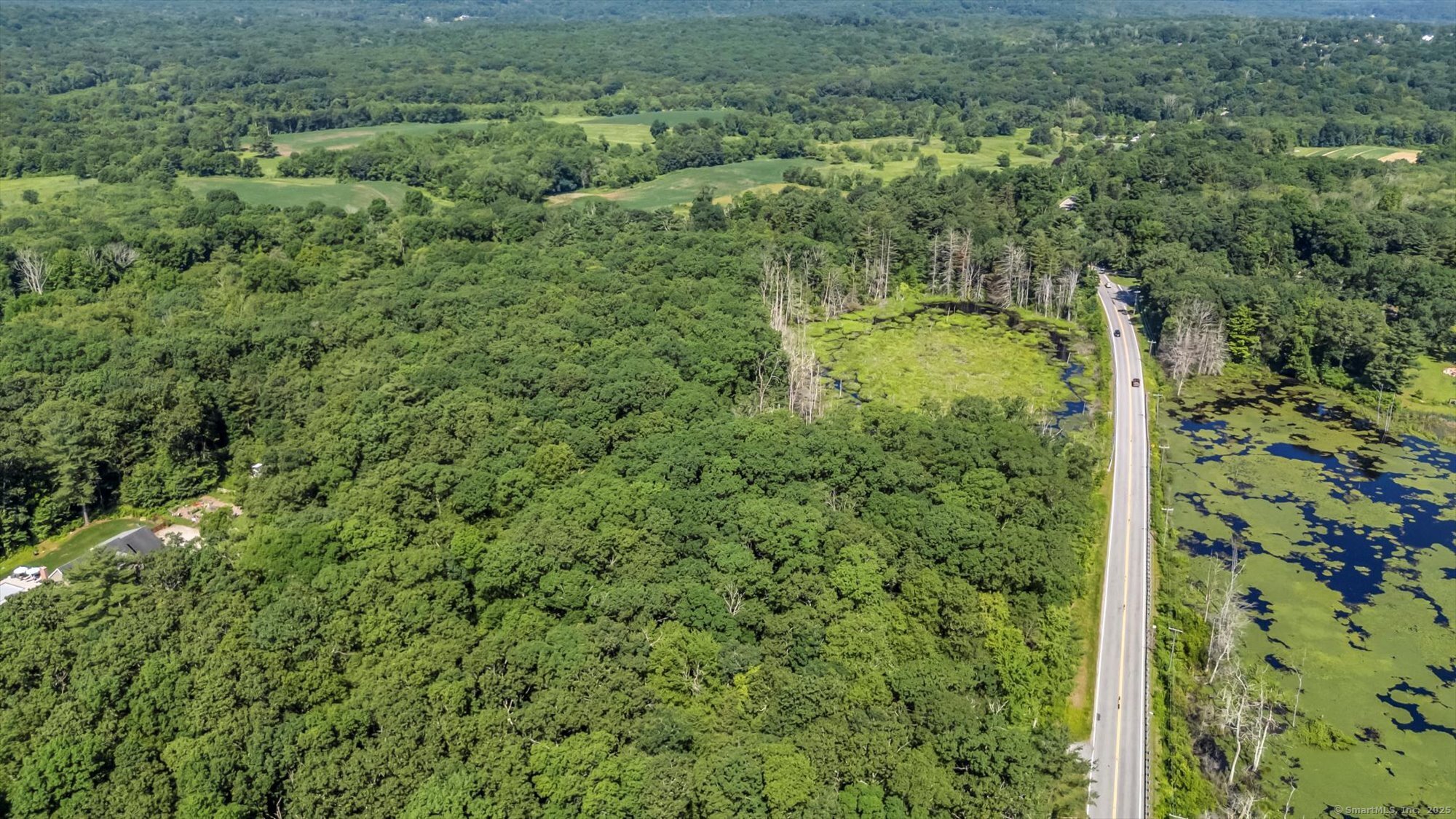 Trumbull Highway Lebanon, CT 06249 - Photo 7 of 21 a view of a forest with a street