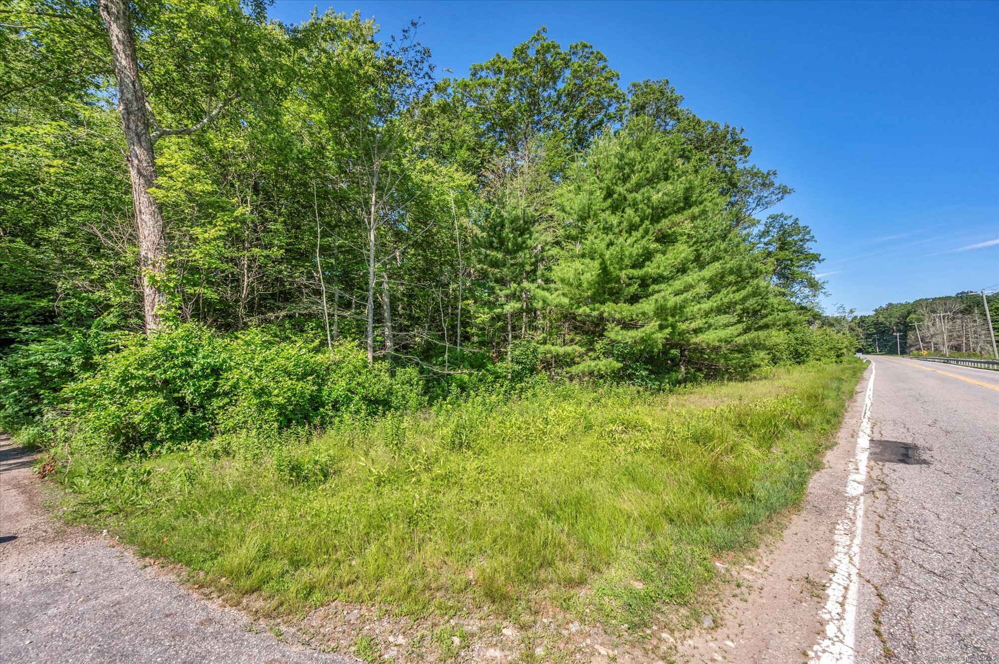 Trumbull Highway Lebanon, CT 06249 - Photo 9 of 21 a view of a garden