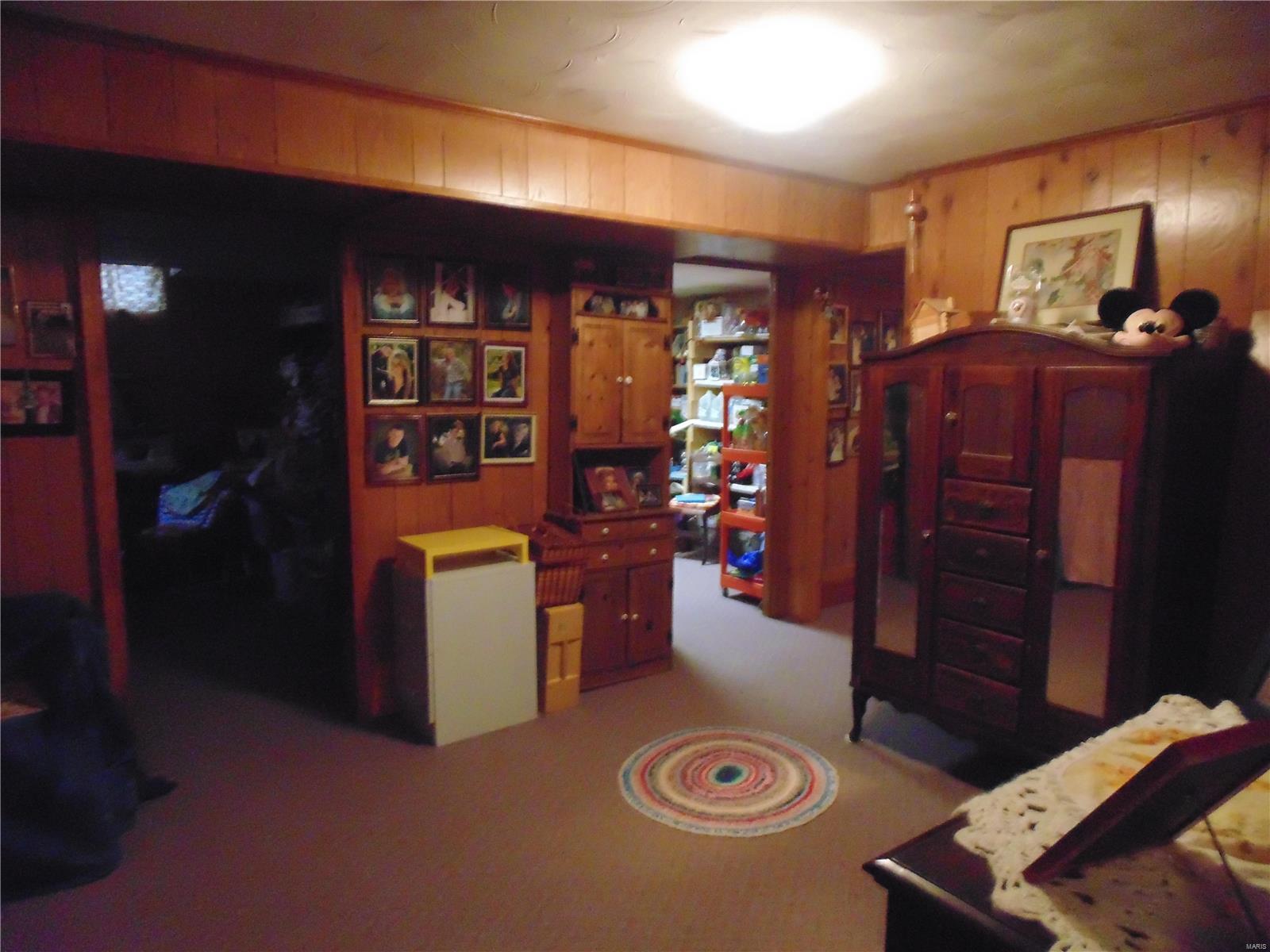 849 Pokey Road Pocahontas, IL 62275 - Photo 20 of 53 Gallery Image 20