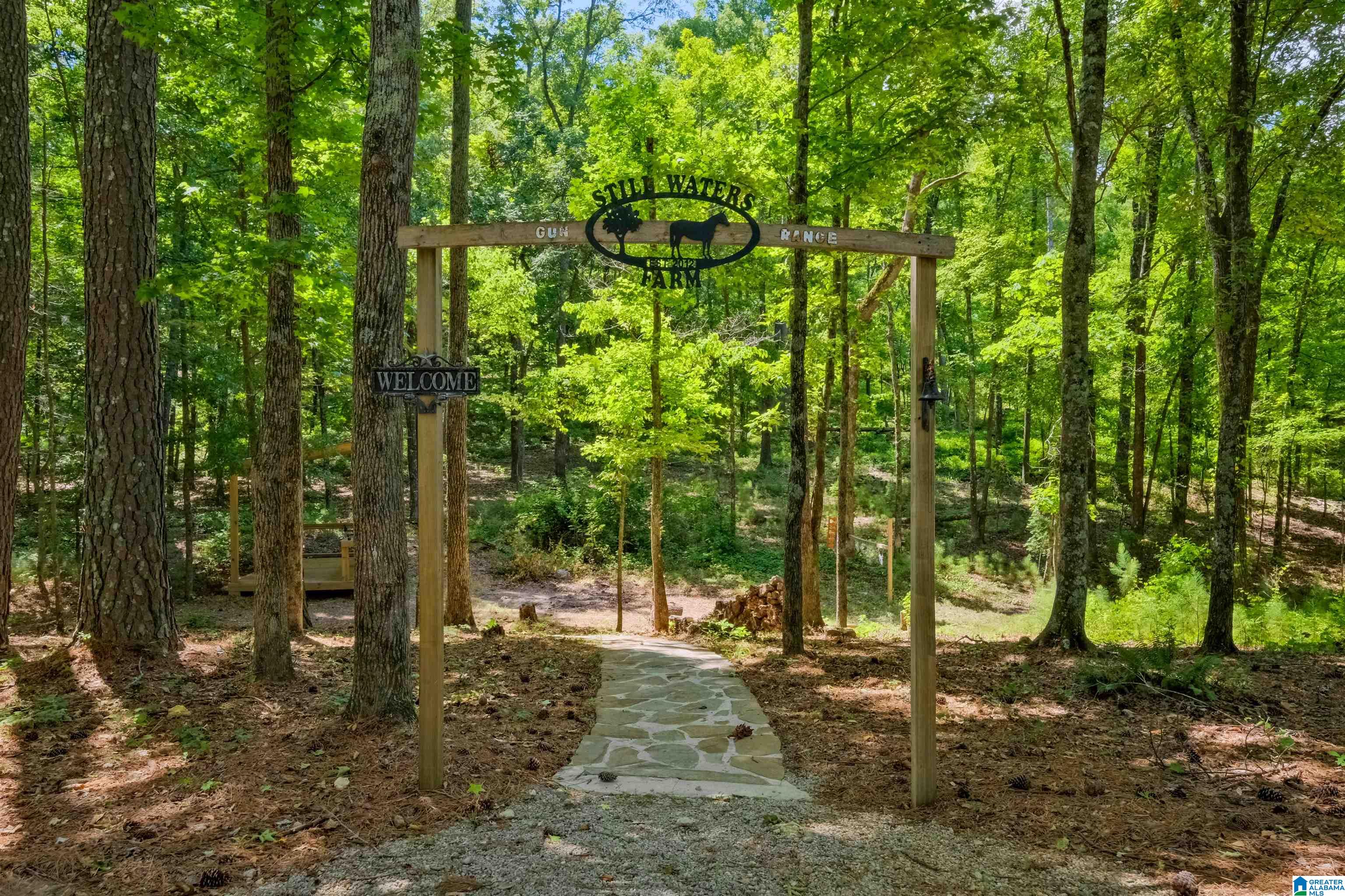 7146 Dry Creek Road Pell City, AL 35128 - Photo 75 of 100