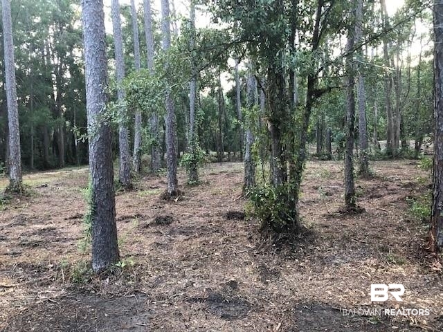 17793 River Road Summerdale, AL 36580 - Photo 2 of 17