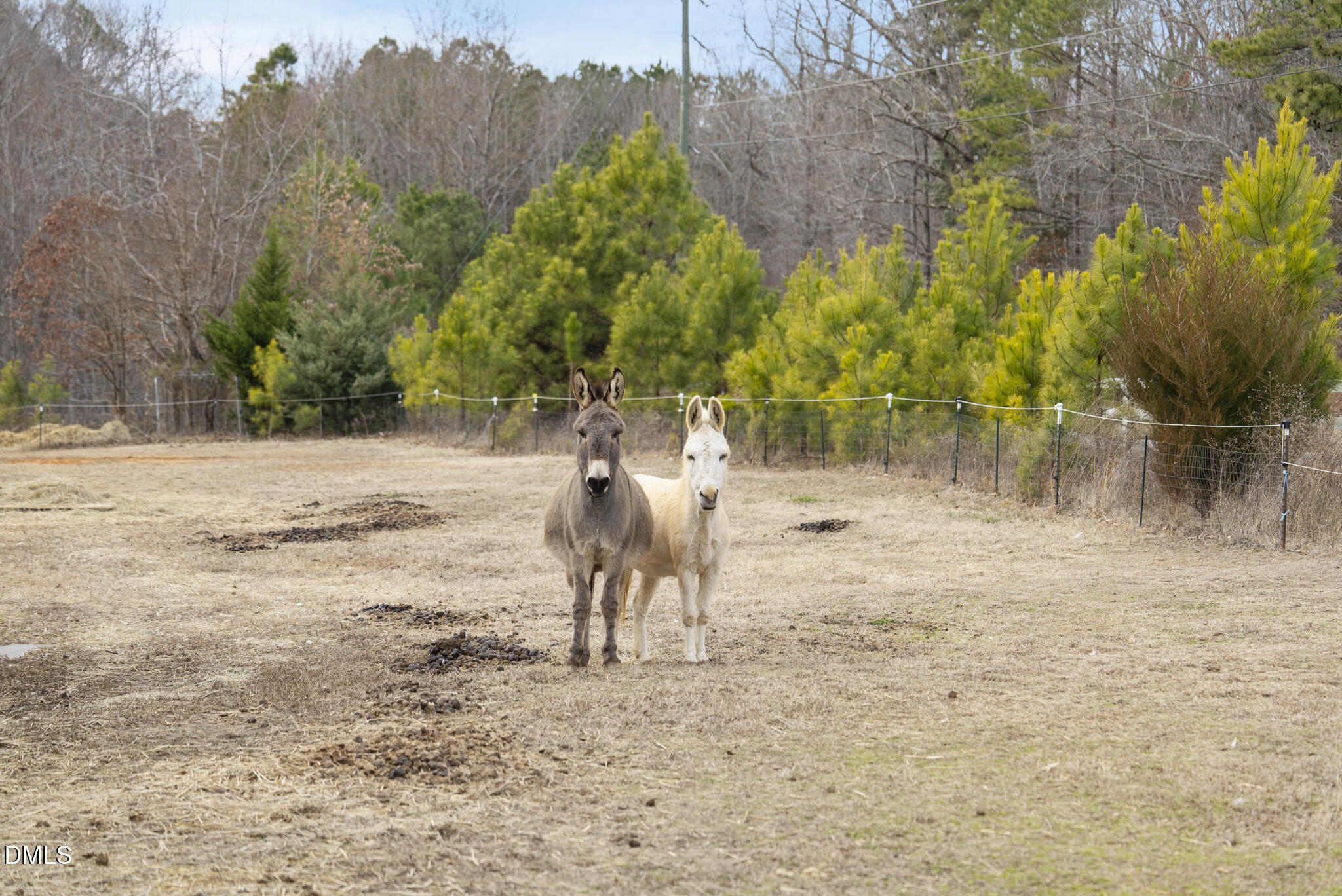 13913 Bold Run Hill Road Wake Forest, NC 27587 - Photo 18 of 96 DSC03958