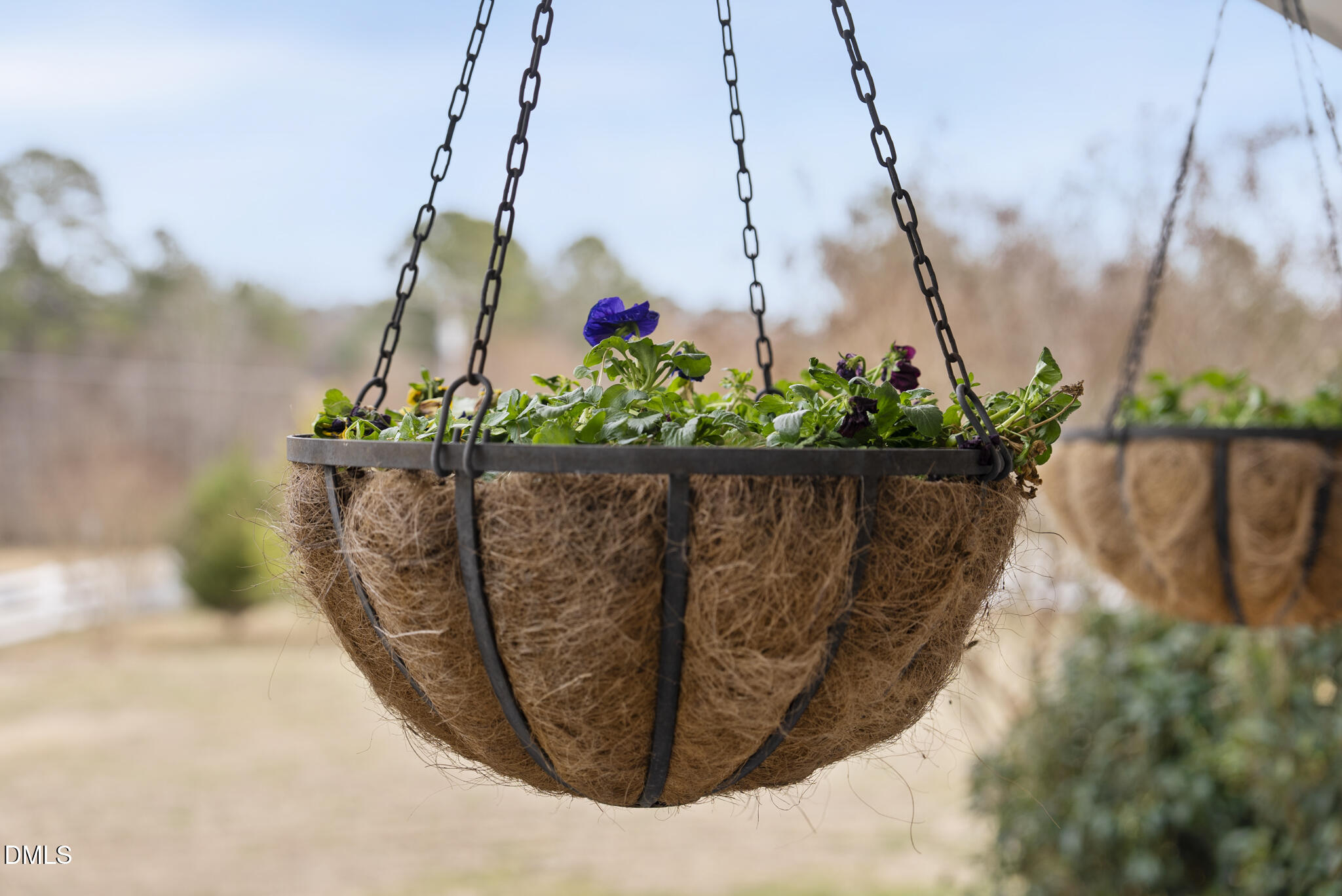 13913 Bold Run Hill Road Wake Forest, NC 27587 - Photo 82 of 96 DSC03979