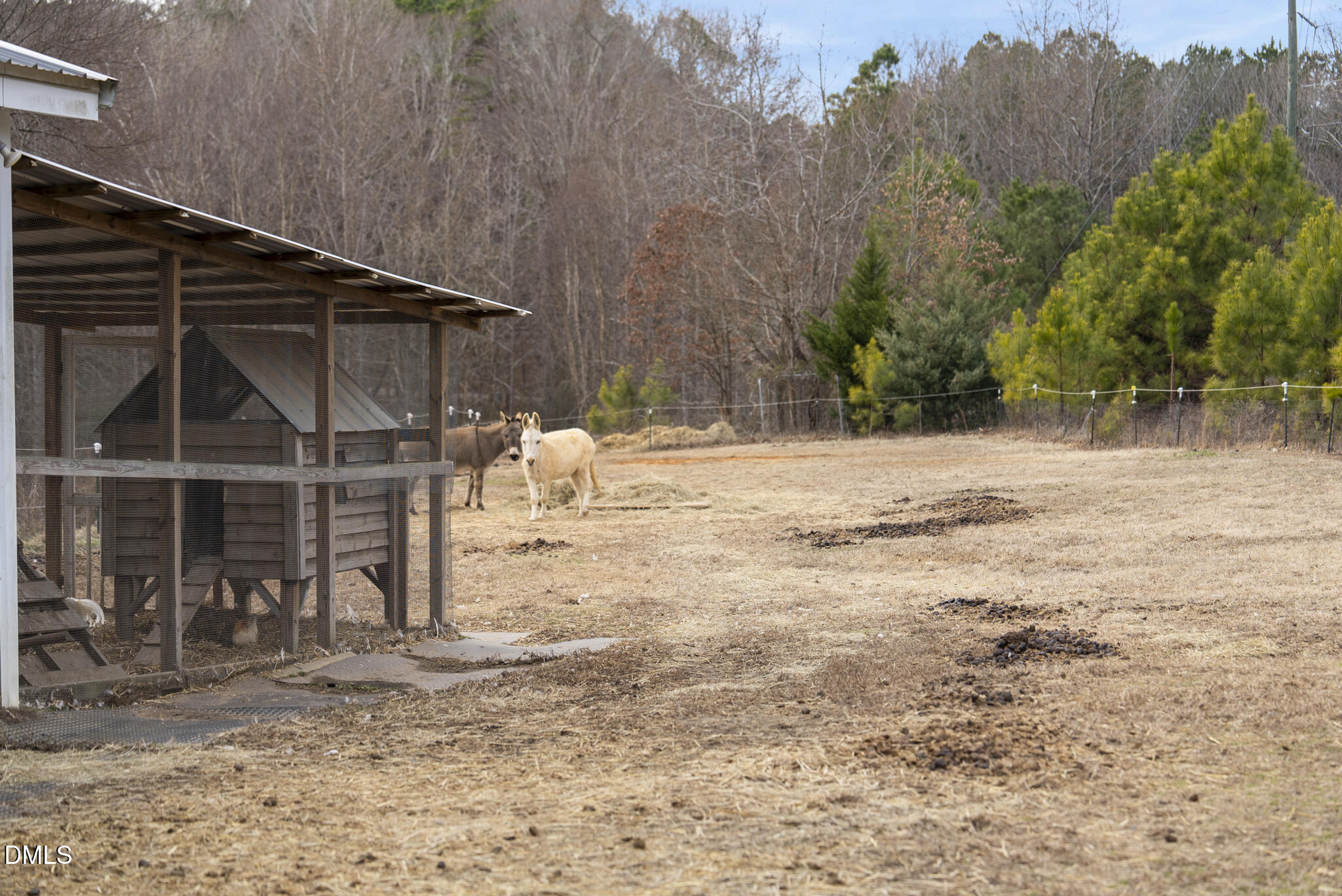 13913 Bold Run Hill Road Wake Forest, NC 27587 - Photo 94 of 96 DSC03957