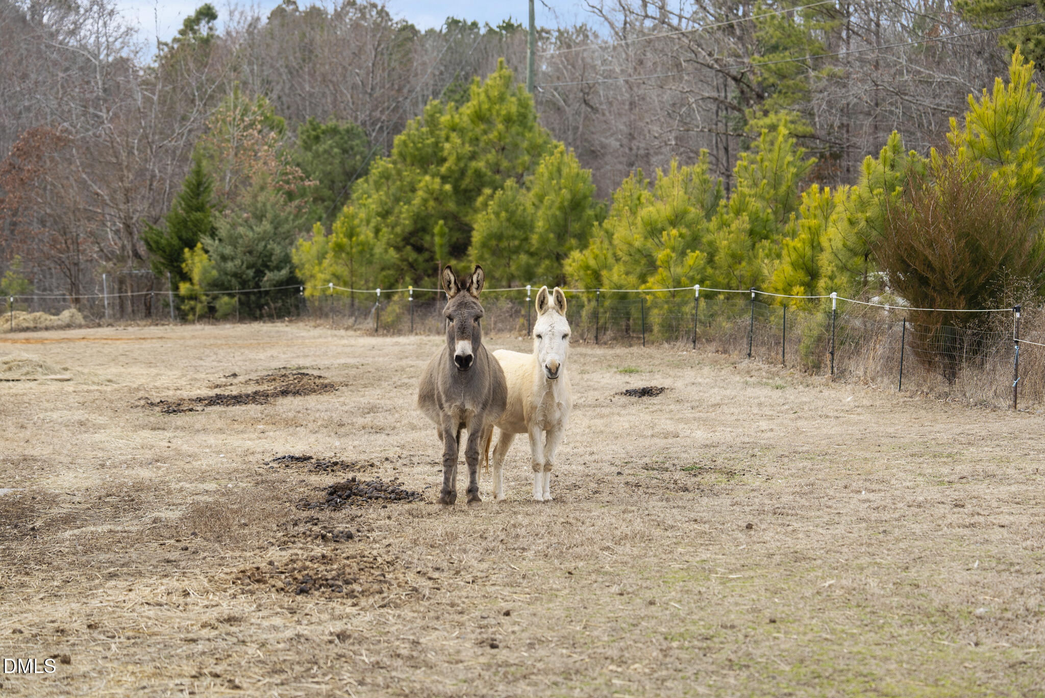 13913 Bold Run Hill Road Wake Forest, NC 27587 - Photo 95 of 96 DSC03959