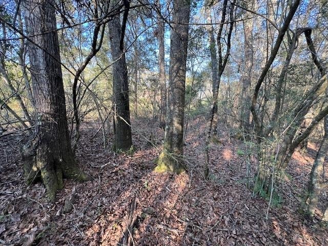 31272 Highway 331 Opp, AL 36467 - Photo 45 of 50 Gallery Image 45