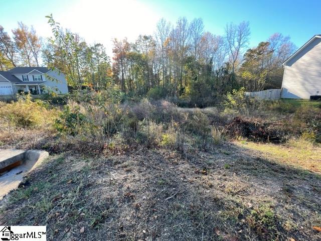 322 Catterick Way Fountain Inn, SC 29644 - Photo 3 of 5 Gallery Image 3