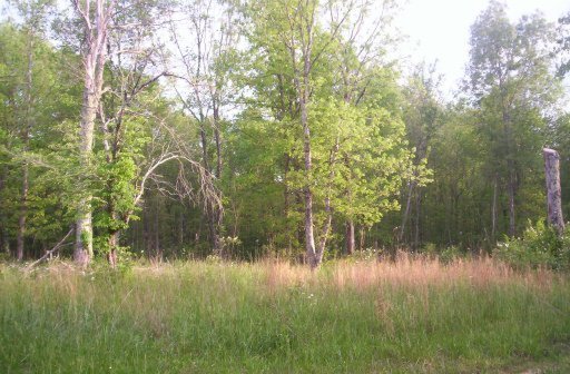 Kendall Smith Road Pikeville, TN 37367 - Photo 1 of 1 Primary Photo