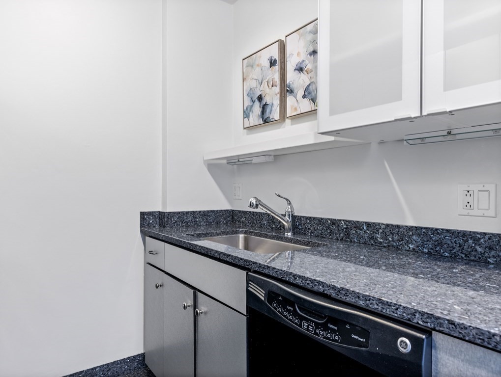 60 Rutland Street, Unit 4 Boston, MA 02118 - Photo 9 of 17 Gallery Image 9
