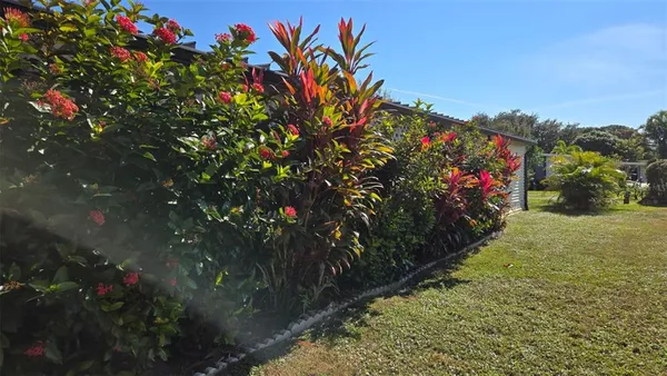 a view of a bunch of flowers in a yard
