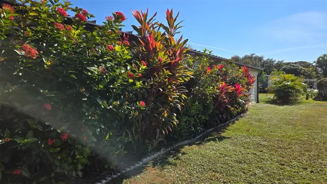 a view of a bunch of flowers in a yard