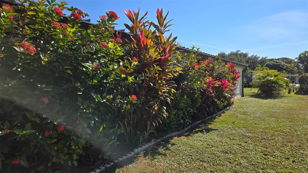 927 Yew Street Sebastian, FL 32976 - Photo 35 of 49 a view of a bunch of flowers in a yard