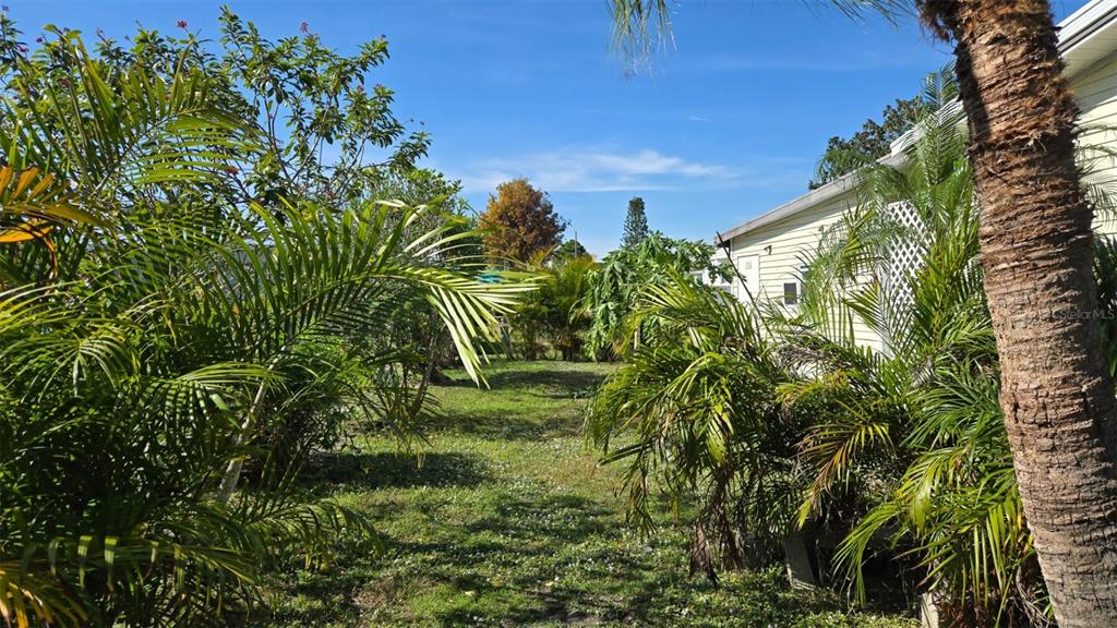 927 Yew Street Sebastian, FL 32976 - Photo 39 of 49 a view of a plant in a garden