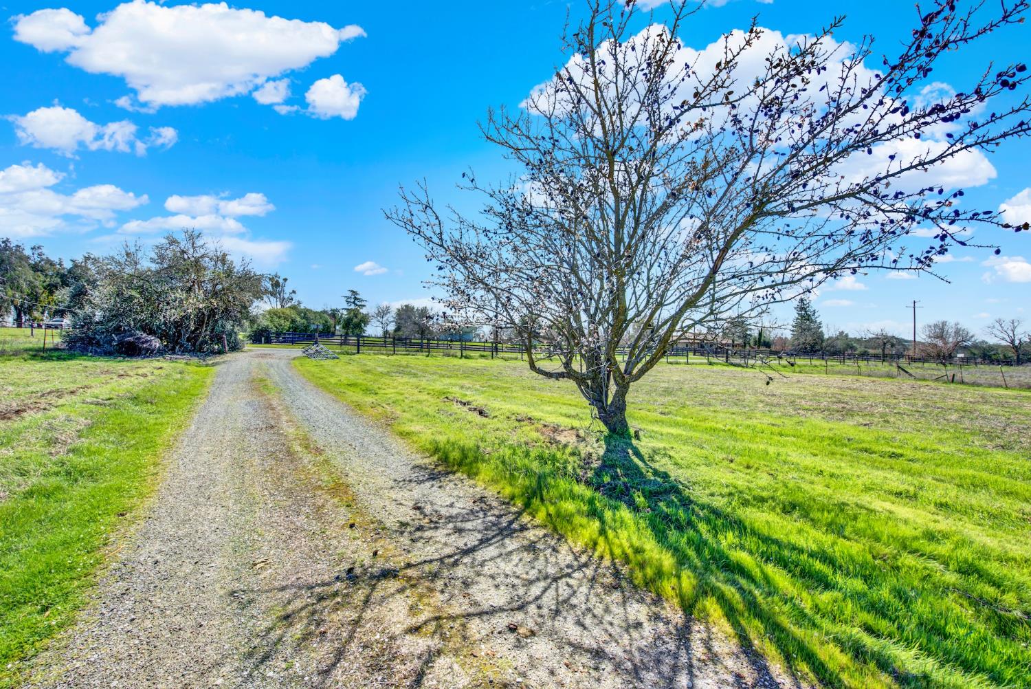 9862 Whalen Road Valley Springs, CA 95252 - Photo 55 of 57