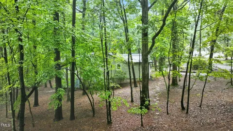 a view of a lush green forest