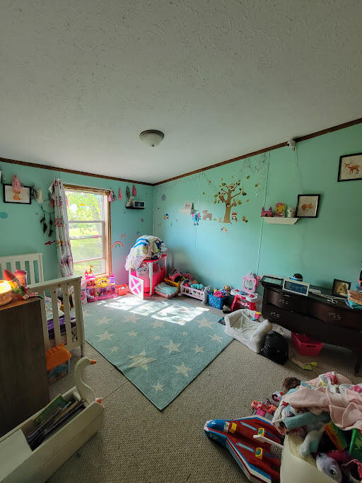 496 230th Avenue Reed City, MI 49677 - Photo 7 of 9 20240519_100248