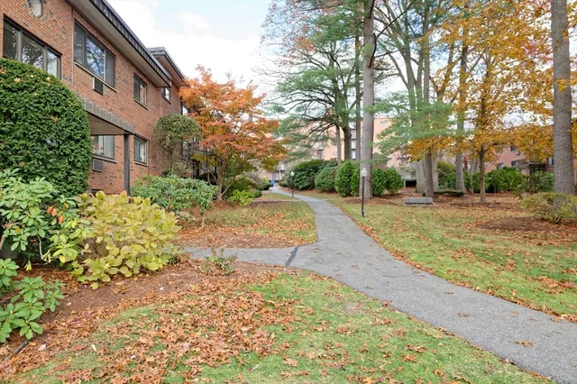 a street view with large trees