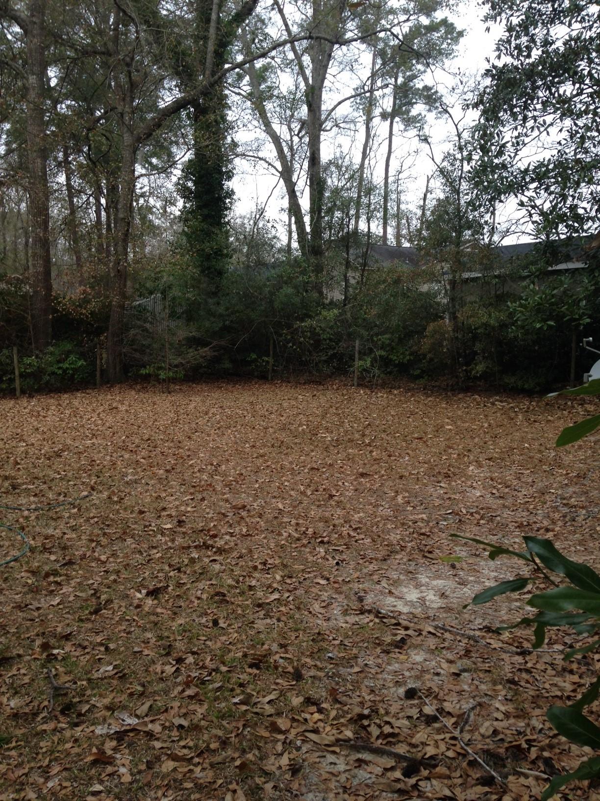 112 Underhill Road Walterboro, SC 29488 - Photo 4 of 9 6