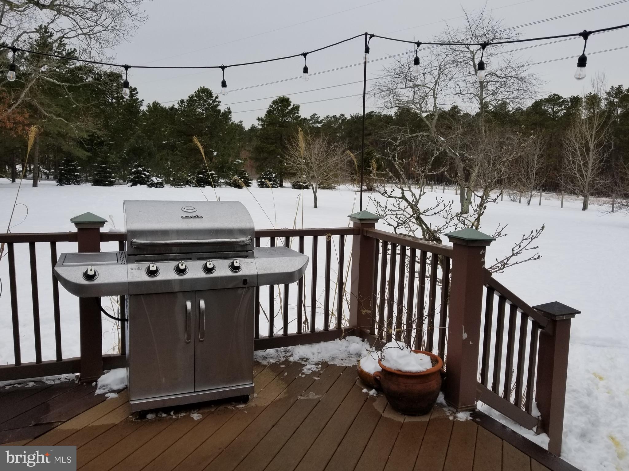 34 Bunker Hill Road Shamong, NJ 08088 - Photo 29 of 34 Backyard