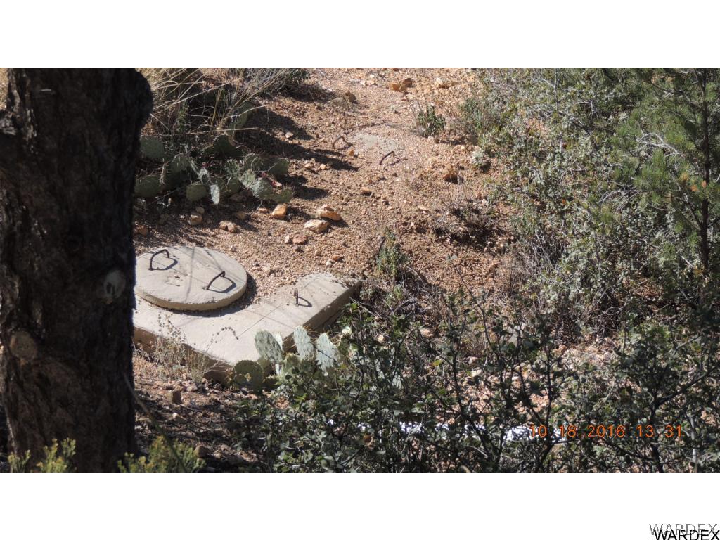 2812 South Dw Ranch Road Kingman, AZ 86401 - Photo 11 of 16 Septic