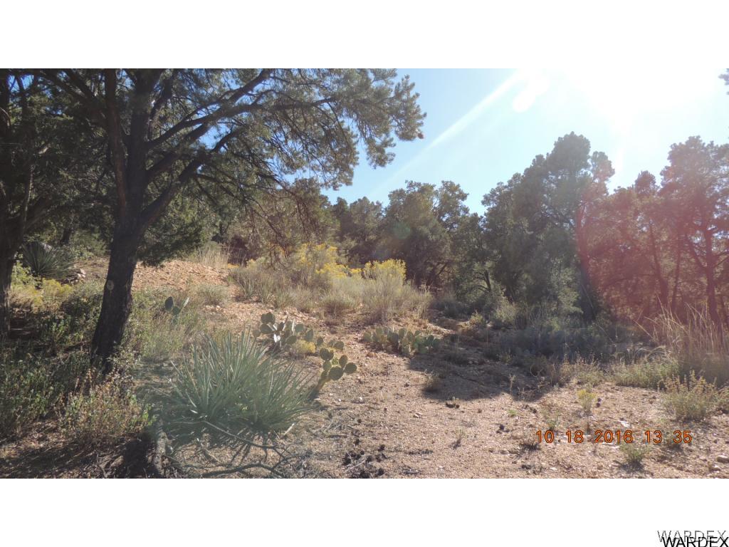 2812 South Dw Ranch Road Kingman, AZ 86401 - Photo 13 of 16 Gallery Image 13