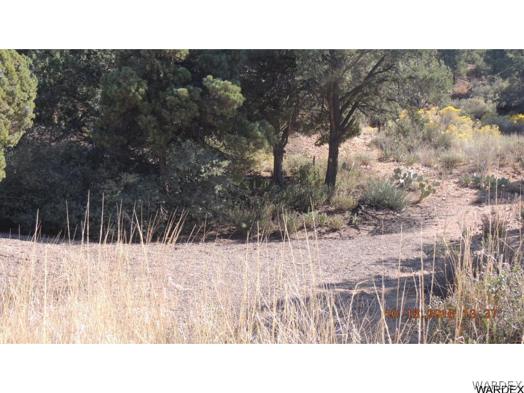 2812 South Dw Ranch Road Kingman, AZ 86401 - Photo 15 of 16 Gallery Image 15