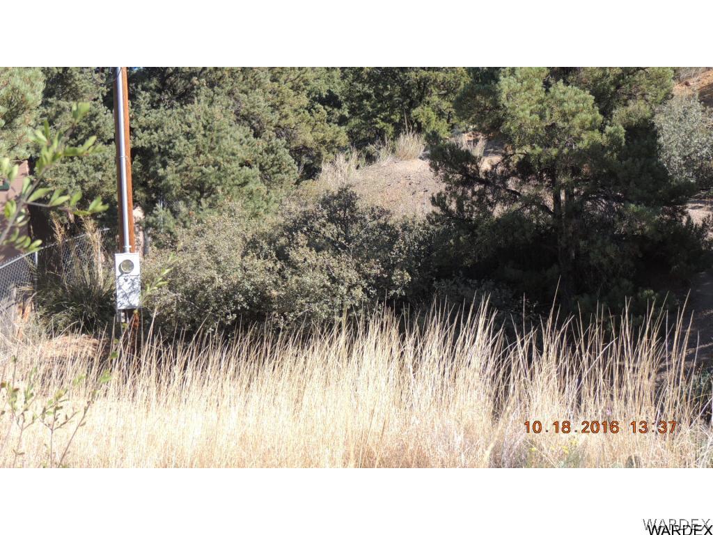 2812 South Dw Ranch Road Kingman, AZ 86401 - Photo 16 of 16 Power