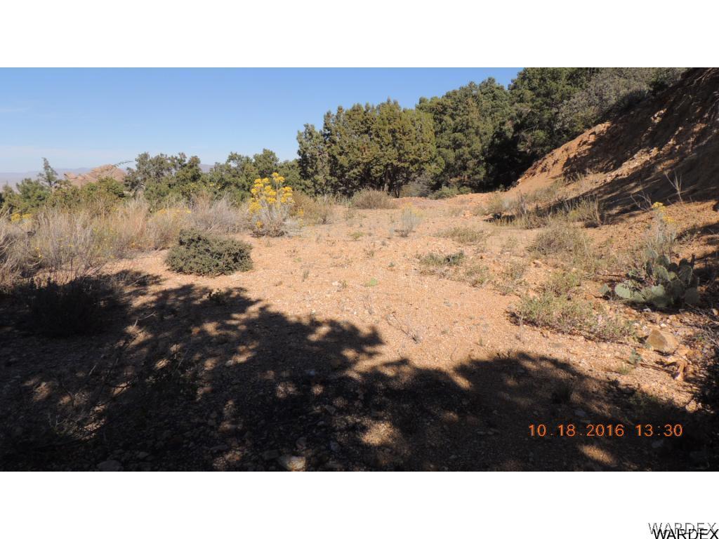 2812 South Dw Ranch Road Kingman, AZ 86401 - Photo 9 of 16 Gallery Image 9