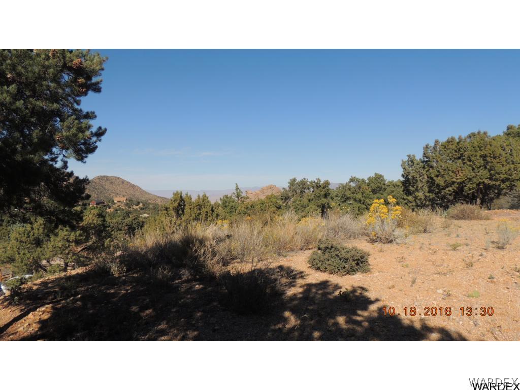 2812 South Dw Ranch Road Kingman, AZ 86401 - Photo 10 of 16 Gallery Image 10