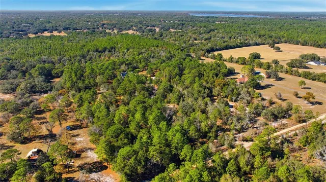 an aerial view of a house with a yard and lake view