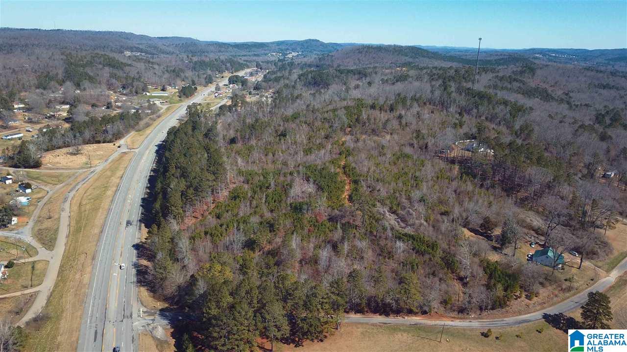 0 Highway 75, Unit 29 38 Oneonta, AL 35121 - Photo 19 of 30